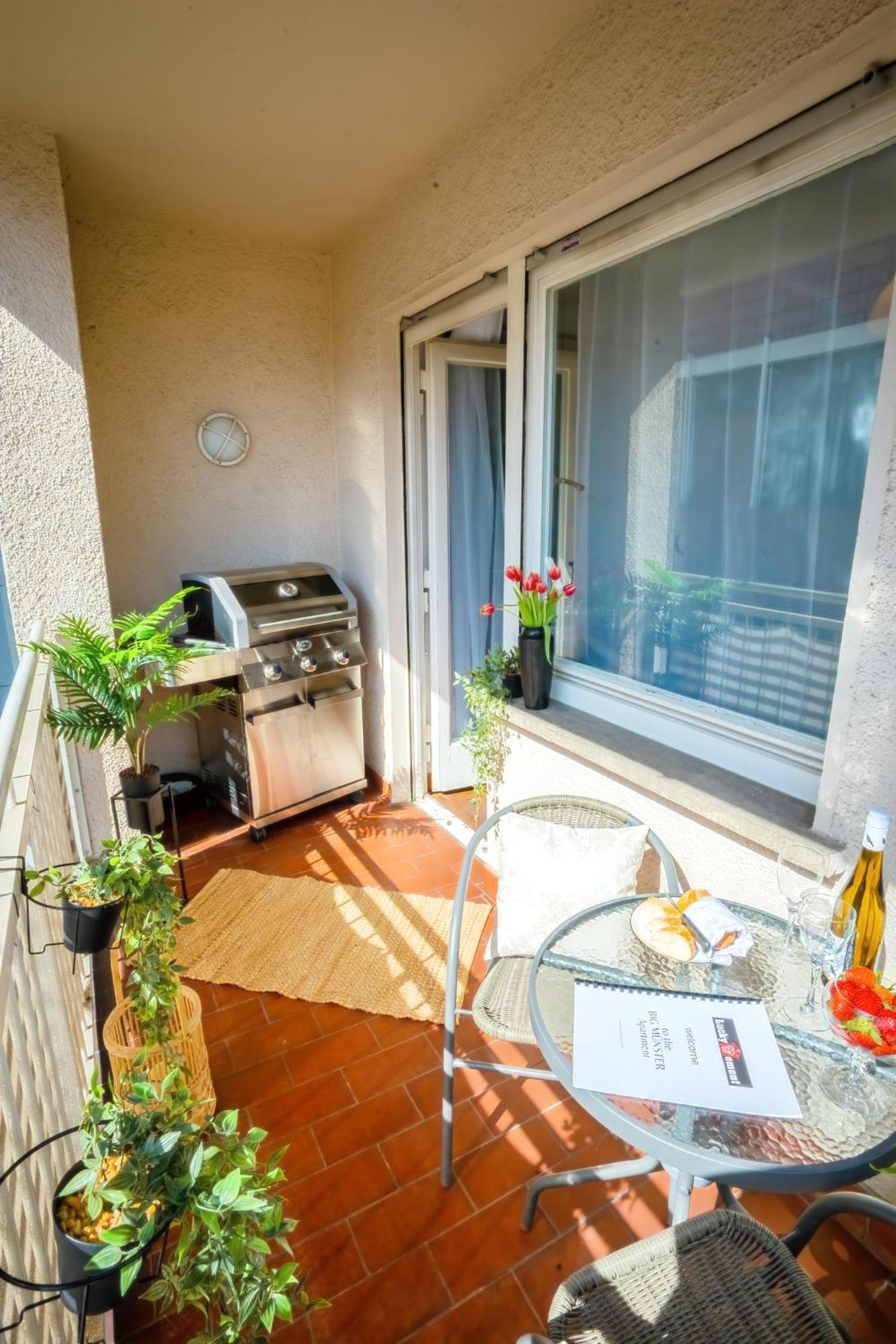 The Big Muenster Fuer Bis Zu 12, Whirlpool, Sauna, Zentral, Tischfussball, Balkon, Gasgrill Ulm Exterior foto
